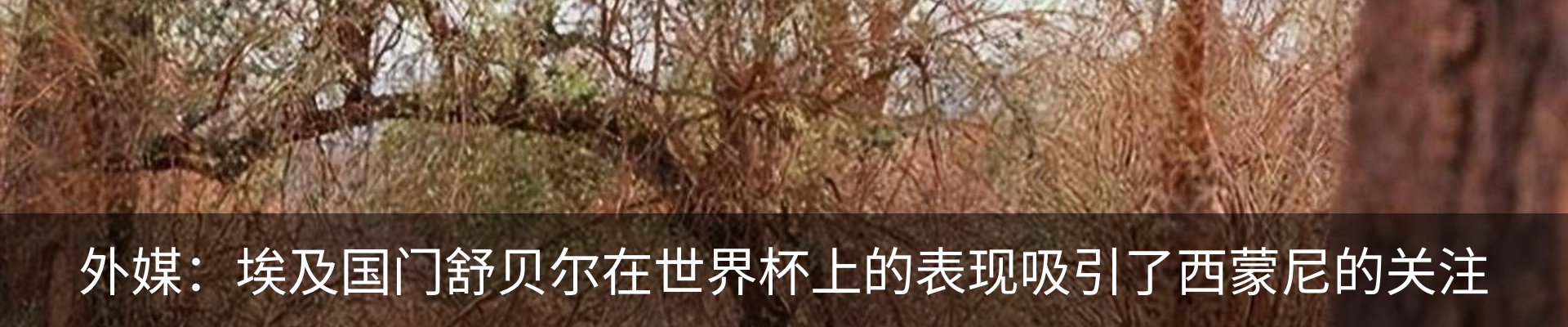 新闻中心